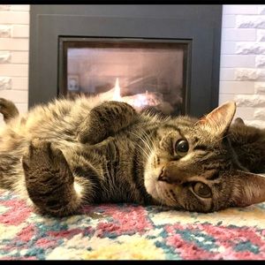 Meet your Posher, Amy